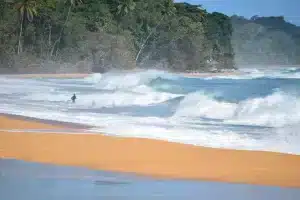 Surfing in Panama: Complete Guide to Waves and Spots