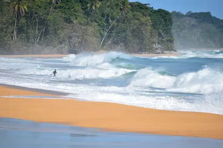 The Best Places To Surf In Panama