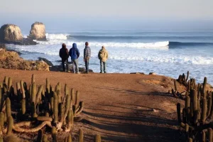 Where to Surf in September