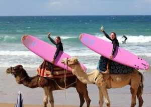 Best Surf Camps in Taghazout: 2026 Guide