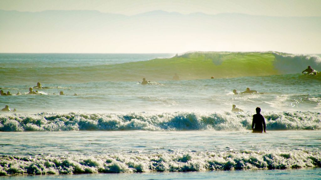 Surfing Rincon, California